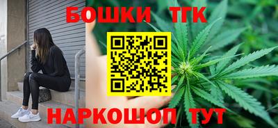 индика Ирбит
