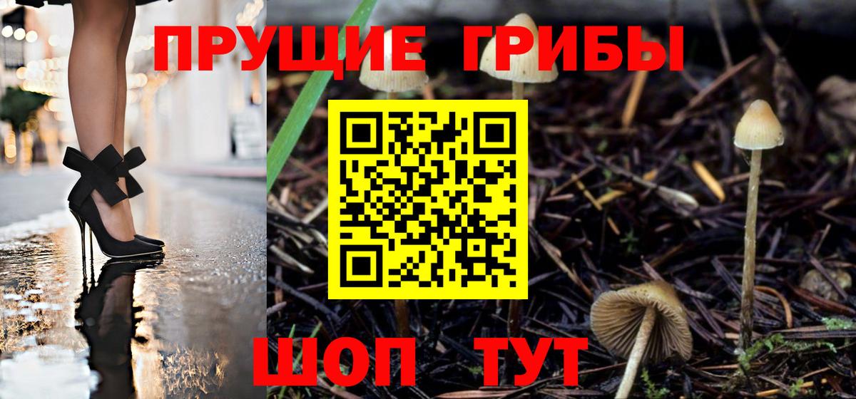 Псилоцибиновые грибы Magic Shrooms  Вход с VPN  Лысьва 